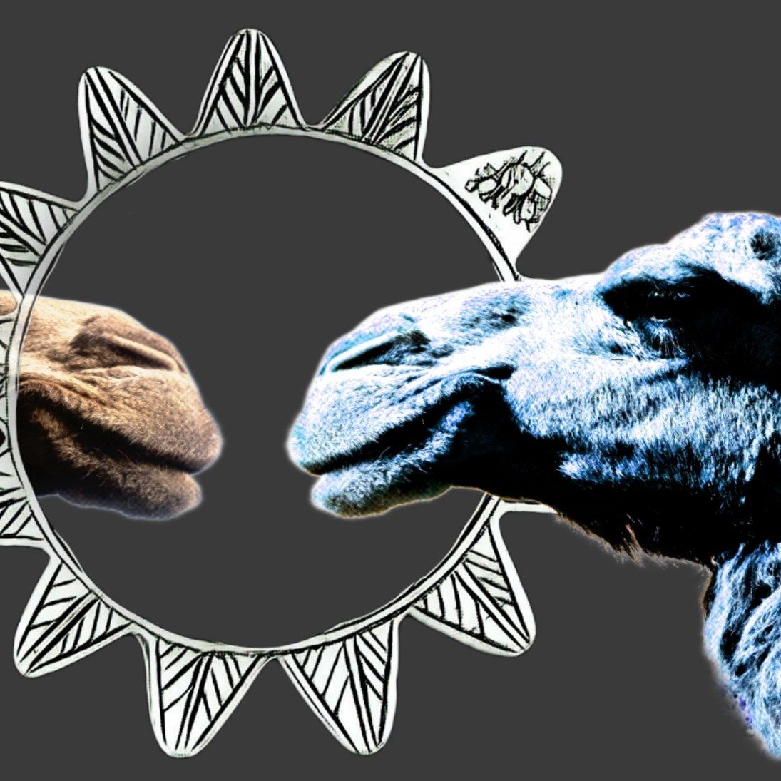 Taïb's two camels logo